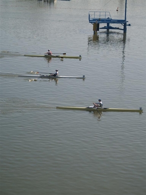 P0186194 (Large).JPG