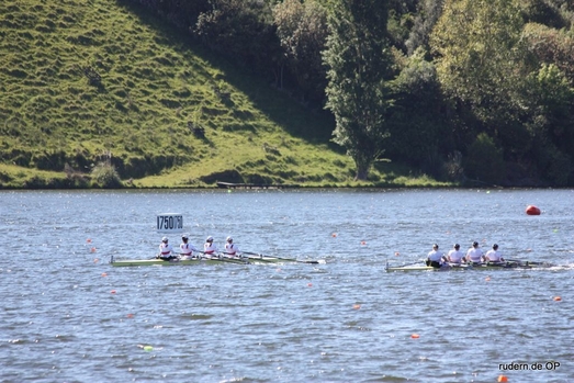 IMG_9795.jpg