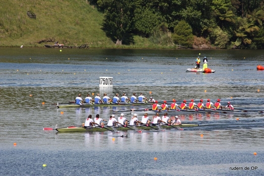 IMG_2765.jpg