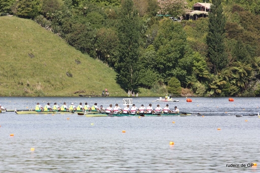 IMG_2822.jpg