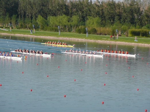 P1060562.JPG