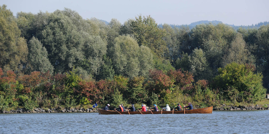 06 schleuse geisling _9_.JPG