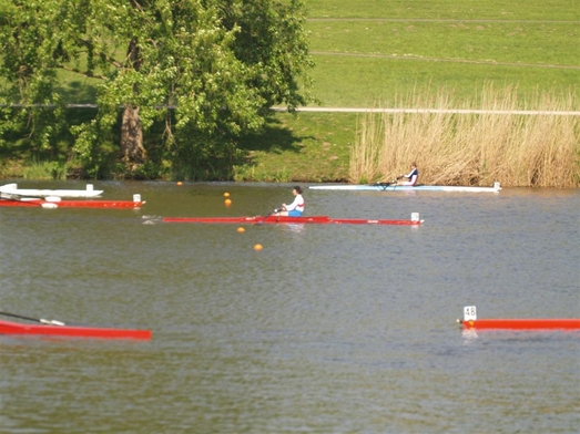P0250292 (Large).JPG